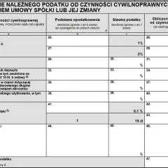 Formularz PIT-28, sekcja D. Obliczenie podatku od czynności cywilnoprawnych, w tym umów pożyczki.