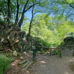 Ein Pfad führt durch einen Wald mit steilen Felsformationen. Ein blauer Stein liegt am Wegesrand.