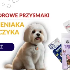 Jakie smakołyki dla szczeniaka? Wybierz mądrze! Porady eksperta