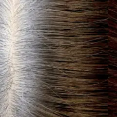 Cabello con raíces grises y puntas oscuras. La pregunta es: ¿cada cuánto tiempo se puede teñir el pelo para mantener este look?
