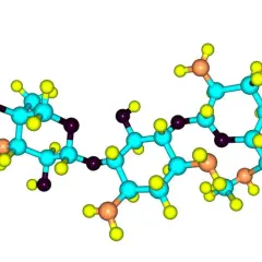 Model cząsteczki gentamycyny, antybiotyku aminoglikozydowego, z atomami w różnych kolorach.
