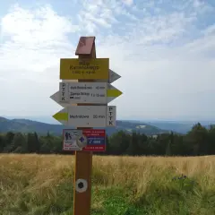Rozdroże szlaków turystycznych. Tabliczka informuje o wysokości 1100 m n.p.m. i kierunkach do Hali Barankowej, Zawoi Składów i Mędralowej. To punkt startowy na szlak na Halę Kamińskiego.