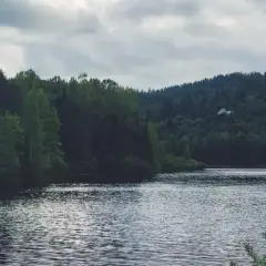 Spokojne jezioro Czerniańskie otoczone gęstym lasem, z widocznym na wzgórzu pałacem.