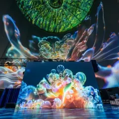 Immersive Projektionen von Quallen und Korallen im Kuppelsaal, Wuppertal. Ein visueller Skywalk durch eine Unterwasserwelt.