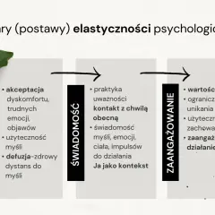 Trzy filary elastyczności psychologicznej: otwartość, świadomość i zaangażowanie. Kluczowe dla terapii ACT.