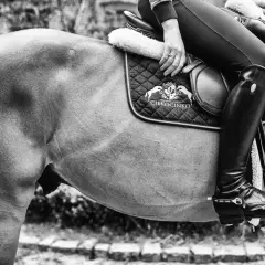 Stadnina koni Ciekocinko – najlepsze miejsce na jazdę konną i treningi