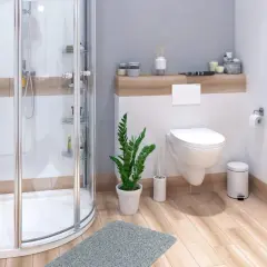 Moderne badezimmer ideen: Duschkabine, Toilette, Pflanze und Holzboden schaffen eine einladende Atmosphäre.