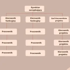 Schemat przedstawia strukturę organizacyjną firmy z dyrektorem zarządzającym na czele, pod którym znajdują się kierownicy funkcyjni i szef kierowników projektu, a poniżej pracownicy.