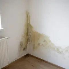 Pleśń na ścianie w rogu pokoju, przy oknie i grzejniku. To znak, że trzeba działać, by jak pozbyc sie wilgoci w domu.