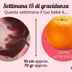Fetus at 15 weeks gestation next to an orange, indicating size comparison.