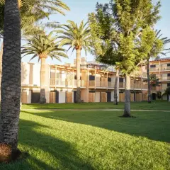 Edificio del Robinson Club Jandia Playa rodeado de palmeras y césped verde, con balcones de madera y fachadas claras.