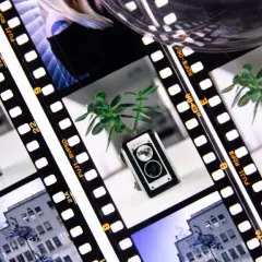 Film strips showcase a vintage camera with a plant, a building, and a woman's face, hinting at the classic ektachrome vs velvia debate.