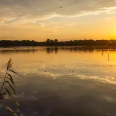 Zachód słońca nad spokojną wodą w Dolinie Baryczy. W oddali las, na pierwszym planie łódź i trzciny.