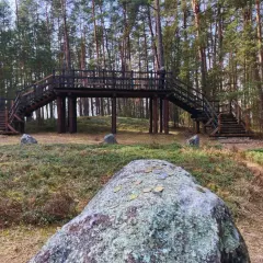 Kamienne kręgi w Odrach. Drewniana kładka nad leśnym wzgórzem, otoczona głazami i sosnami. Na pierwszym planie kamień z monetami.
