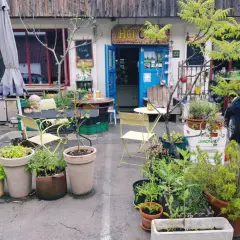 Ein idyllischer Hofladen in Bochum mit vielen Pflanzen und Sitzgelegenheiten. Hier finden sich Bochum Geheimtipps für entspannte Stunden.