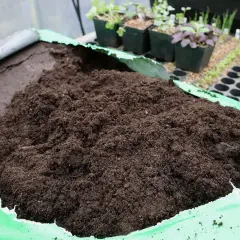 En stor hög med mörk blomjord ligger i en öppen grön plastpåse. I bakgrunden syns små plantor i krukor.