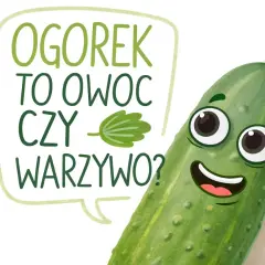 Uśmiechnięty ogórek zastanawia się: "Czy ogórek to owoc czy warzywo?". Zabawna grafika edukacyjna.