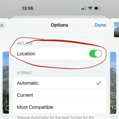 iPhone photo options screen showing how to remove photo metadata, specifically location data, from a selected image.