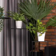 Kwiaty na kwietnik: Jak wybrać idealne rośliny do domu?
