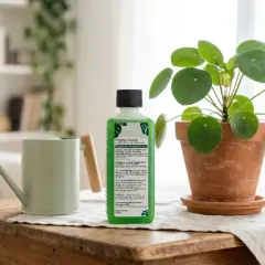 Bouteille d'engrais naturel pour plante verte d'intérieur, à côté d'un arrosoir et d'une plante.