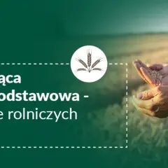 Uzupełniająca płatność podstawowa wspiera rolników, zwiększając ich dochody. Widać dłonie trzymające ziarno na tle pola.