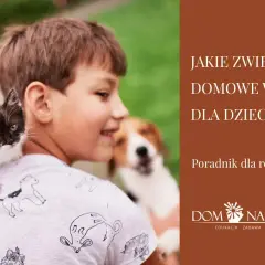 Chłopiec z kotkiem na ramieniu i psem w tle. Poradnik dla rodziców: jakie zwierzę domowe wybrać? Lista zwierząt.