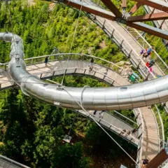 Drewniana ścieżka w koronach drzew z metalową zjeżdżalnią, widok z góry na Sky Walk w Czechach.