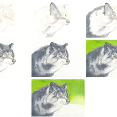 Wolf zeichnen lernen: Schritt-für-Schritt-Anleitung & Tipps