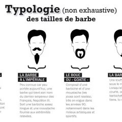 Typologie des tailles de barbe : le favori, la barbe à l'impériale, le bouc ou "goatie", et la barbiche. Chaque nom de barbe est illustré.
