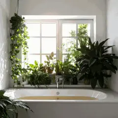 Wąska łazienka z oknem na końcu, pełna zieleni. Wanna z wodą, a na parapecie mnóstwo roślin.