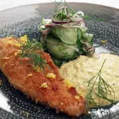 Panerad fisk med en krämig remouladsås curry, gurksallad och dill.