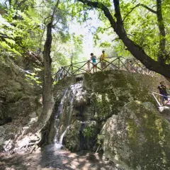 Besucher genießen die malerische Aussicht im Schmetterlingstal auf Rhodos. Ein kleiner Wasserfall plätschert über moosbewachsene Felsen, während ein Holzsteg die Wanderer durch die grüne Landschaft führt.