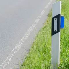 Straßenrandpfosten mit blauen Reflektoren, der die Fahrbahn und das üppige Gras daneben markiert.