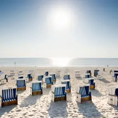 Strandkörbe am Nordseestrand, perfekt für einen entspannten Tagesausflug an die Nordsee. Die Sonne scheint, das Meer glitzert.