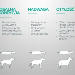 Ilustracja pokazuje, jak rozpoznać nadwagę u psa. Otyłość może prowadzić do problemów zdrowotnych, a nawet uczynić psa najgrubszym psem świata.