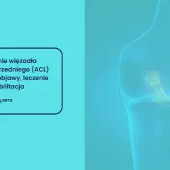 Anatomia kolana z widocznym uszkodzonym więzadłem krzyżowym przednim (ACL). Tekst informuje o przyczynach, objawach, leczeniu i rehabilitacji.