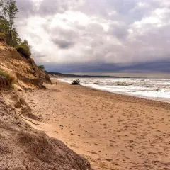 Piaszczysta plaża z klifem porośniętym drzewami. W oddali widać morze i burzowe chmury. Miejsce idealne na spacer, jak w **orzechowo**-brązowych barwach.