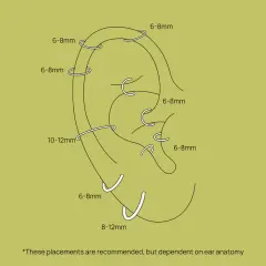 Schemat ucha z zaznaczonymi rozmiarami kolczyków. Jaki rozmiar kolczyka do helixa? Zazwyczaj 6-8mm, ale zależy od anatomii ucha.