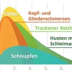 Grippe ohne Fieber Symptome: So erkennen Sie die versteckten Anzeichen
