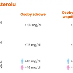 Normy cholesterolu: Jak czytać wyniki i dbać o serce?