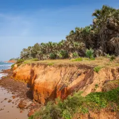 Piękne, piaszczyste plaże i klify z palmami, idealne na gambia wakacje. Oceaniczne fale rozbijają się o brzeg.