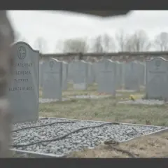 Jak sprawdzić datę pogrzebu w Kaliszu i uniknąć nieporozumień