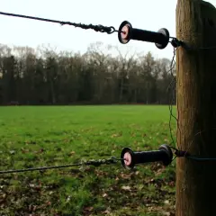 Elektryczny pastuch na drewnianym słupku, z dwoma izolatorami i linkami. Czy pastuch jest legalny? Pytanie o bezpieczeństwo i zgodność z prawem.
