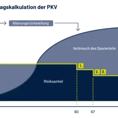 Grafik zeigt, wie sich die Kosten pkv mit dem Alter entwickeln. Ein Sparanteil deckt anfangs die Kosten, später der Risikoanteil.
