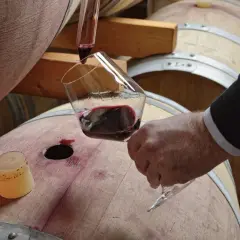 Degustacja wina sycylijskiego z beczki. Ciemnoczerwony trunek przelewany jest do kieliszka.