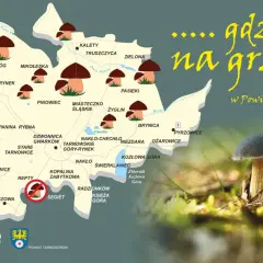 Gdzie na grzyby z noclegiem? Odkryj najlepsze miejsca w Polsce