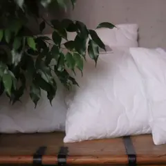 Gdzie wyrzucić stare poduszki? Sprawdź najlepsze opcje utylizacji