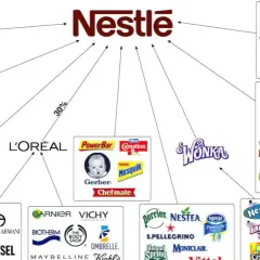 Nestlé-Markenvielfalt: Von Kaffee (Nescafé) über Süßigkeiten (KitKat, Wonka) bis zu Tierfutter (Purina) und Kosmetik (L'Oréal).