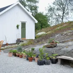 Vitt hus med gröna detaljer och ett bord med stolar. En grusgång leder fram till huset, omgiven av sten och växter.