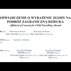 Zgoda na paszport dla dziecka u notariusza: Koszt i alternatywy 2024